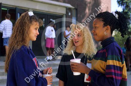 Teenage girls talking in a group.