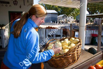 A woman shops at a farmers market in Canyon County, Idaho. MR