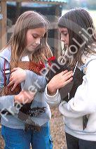Young girls holding a pet hen and a rooster.  MR