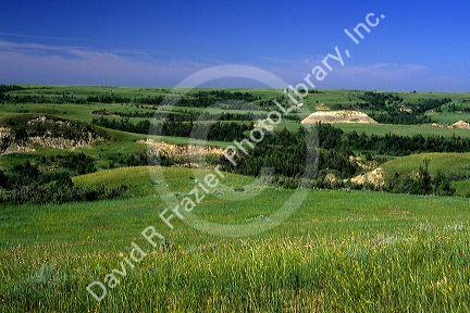 The Badlands in North Dakota.