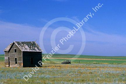 An abandoned shack in North Dakota.