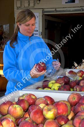 A woman shops for apples at a farmers market in Canyon County, Idaho. MR