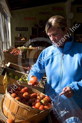 A woman shops at a farmers market in Canyon County, Idaho. MR