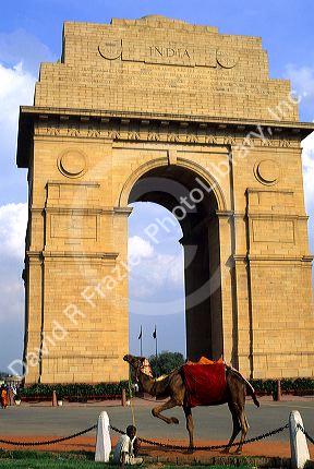Indian man with a camel in front of the India Gate in New Delhi, India.