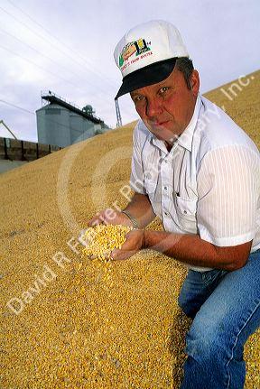 A farmer showing harvested corn in Idaho. MR