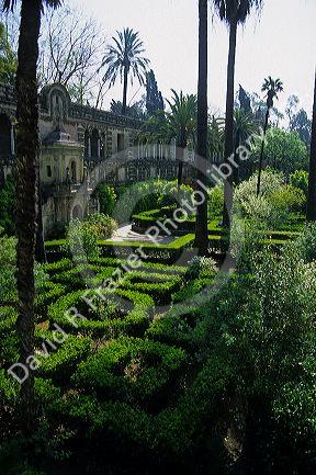 Formal garden in the Alcazar of Seville, Spain.