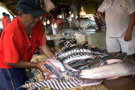 Vendor selling fish at a market in Manaus, Brazil.