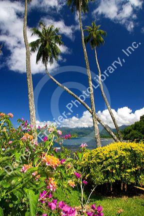 Tropical flowers and palm trees on the island of Tahiti.