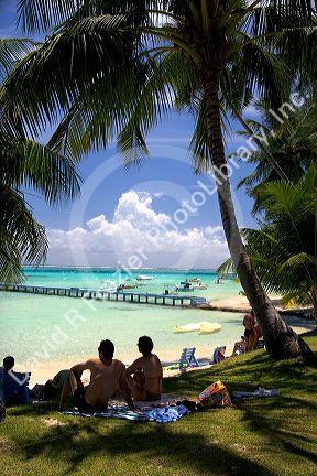 A beach scene with lagoon and palm trees on the island of Moorea.
