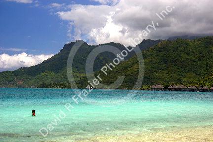 A woman swimming in the lagoon off the island of Moorea.