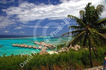 Grass hut bungalows at Sofitel on the island of Moorea.