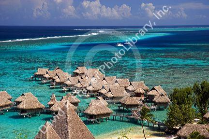 Grass hut bungalows at Sofitel Hotel on the island of Moorea.