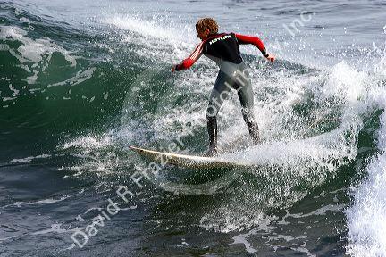 Surfing in the pacific ocean on the California coast at Santa Cruz.