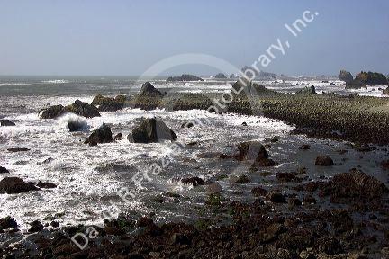 California coast at Crescent City.