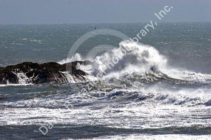 Waves crash on rocks at Crescent City on the California coast.