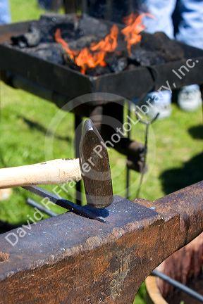 Blacksmith using a hammer to work with heated iron during a civil war reenactment near Boise, Idaho.