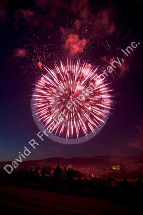People watch a Fourth of July fireworks display in Boise, Idaho.