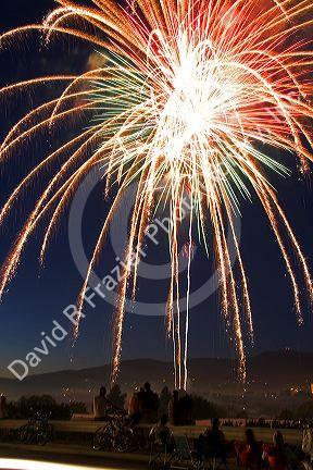 People watch a Fourth of July fireworks display in Boise, Idaho.