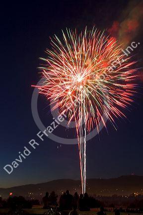 People watch a Fourth of July fireworks display in Boise, Idaho.