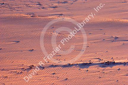 A wind blown beach at Lincoln City on the Oregon Coast.