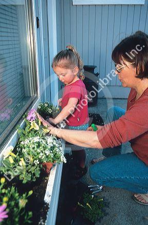 Adult and child planting flowers in a window box.
