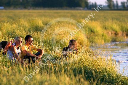 A family sits at sunset near Le Mont Saint Michel in the region of Basse-Normandie, France.