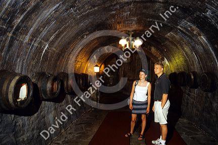 Woman taking a guided tour of the Miller Brewery at Milwaukee, Wisconsin.