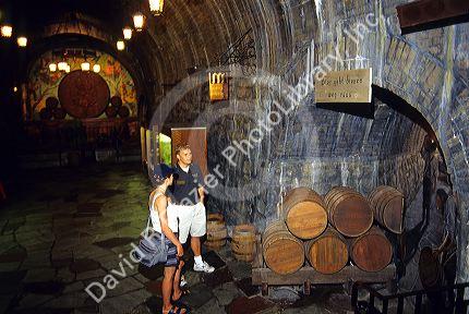 Woman taking a guided tour of the Miller Brewery at Milaukee, Wisconsin.