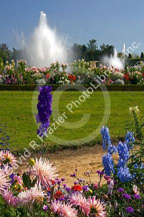 Flowers and fountains in the formal gardens at The Palace of Versailles at Versailles in the department of Yvelines, France.