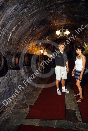 Woman taking a guided tour of the Miller Brewery at Milwaukee, Wisconsin.