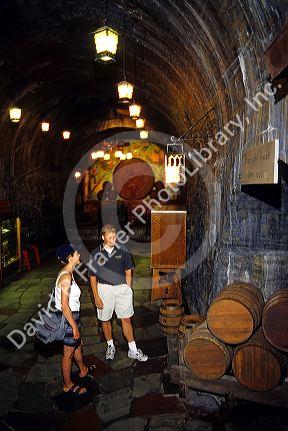 Woman taking a guided tour of the Miller Brewery at Milwaukee, Wisconsin.