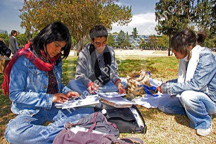 Students study on the campus of the National Autonomous University of Mexico in Mexico City, Mexico.