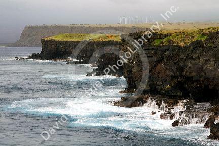 The cliffs at South Point are the Southern most point of the United States on the Big Island of Hawaii.