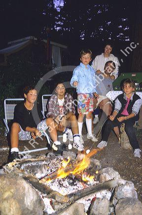 A family around a campfire roasting marshmallows.