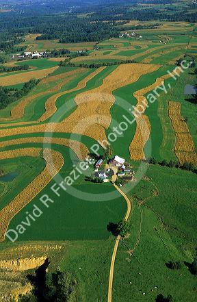 Aerial view of contour strip farming corn and alfalfa hay in Southwest Wisconsin.