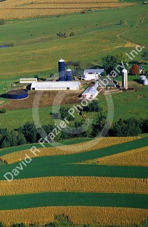 Aerial view of contour strip farming corn and alfalfa hay in Southwest Wisconsin.
