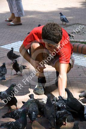 Young man feeding pigeons in Buenos Aires, Argentina.