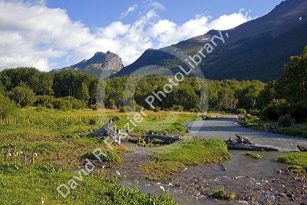 Nature inside the Tierra del Fuego National Park, Argentina.