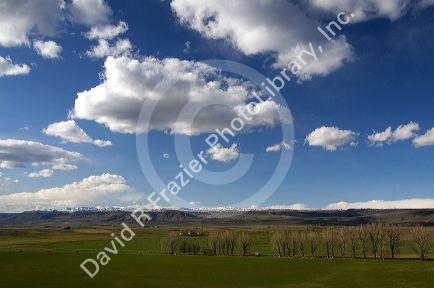 Farm near King Hill, Idaho.