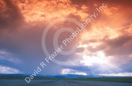 Spring rain clouds at sunset over eastern Oregon farm land.