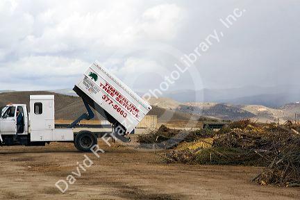 Green waste from trimming trees being dumped for recycling at the Ada County Landfill in Boise, Idaho.