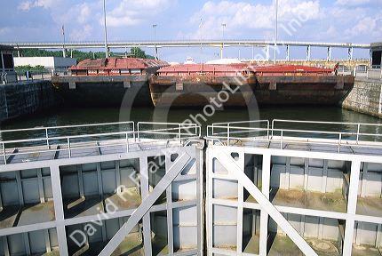 Barges at the Wilson Lock on the Tennessee River.