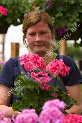 Woman shopping for flowers in the greenhouse of a nursery in Nampa, Idaho. MR