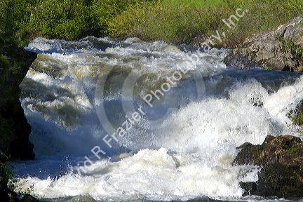 The Little Salmon River in Adams County, Idaho.