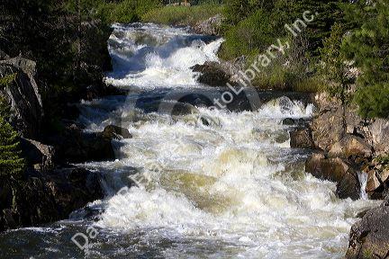 The Little Salmon River in Adams County, Idaho.