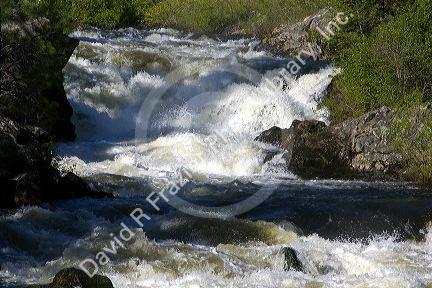 The Little Salmon River in Adams County, Idaho.