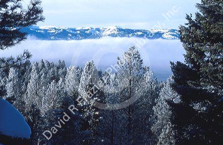 Fog bank over Lake Cascade near Cascade, Idaho in winter.