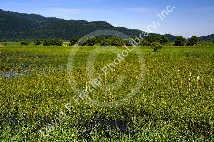Swan River National Wildlife Refuge near Kalispell, Montana.