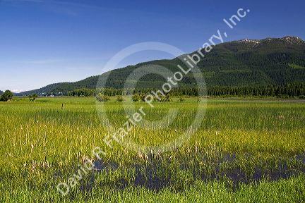 Swan River National Wildlife Refuge near Kalispell, Montana.