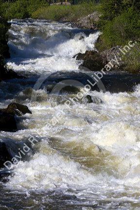 The Little Salmon River in Adams County, Idaho.